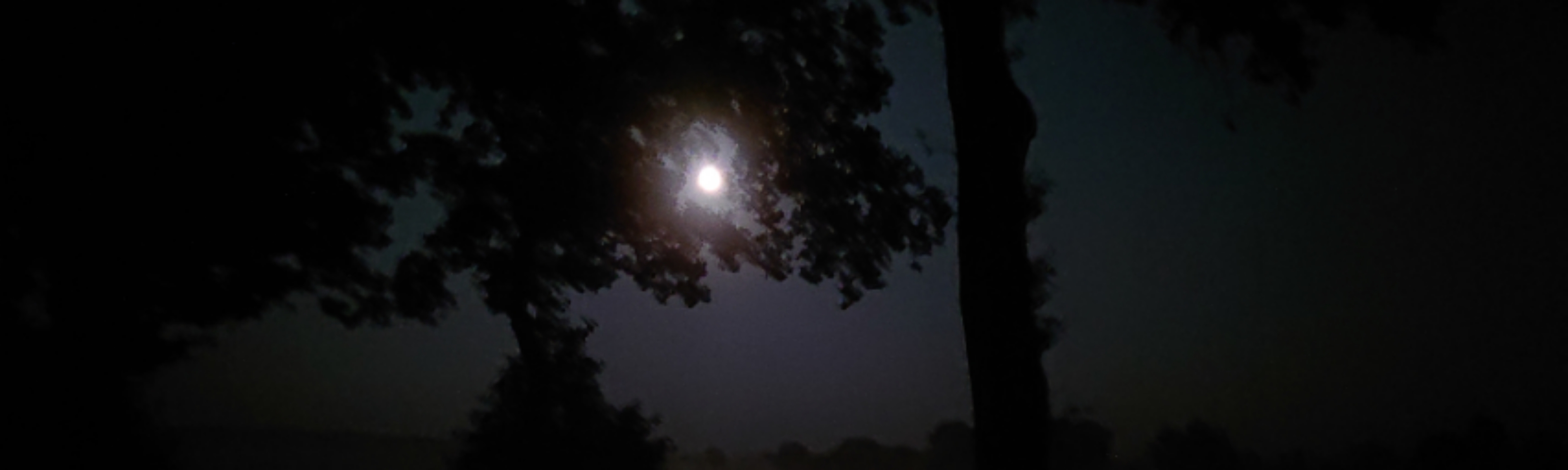 Baum